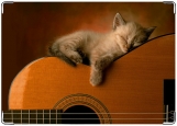 Обложка на паспорт с уголками, Котёнок на гитаре