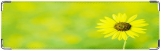 Визитница/Картхолдер, Желтый цветок