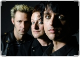 Обложка на паспорт с уголками, Green Day