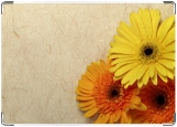 Обложка на автодокументы с уголками, Цветы2