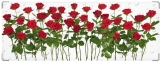 Обложка на зачетную книжку, Красные розы