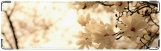 Визитница/Картхолдер, цветы