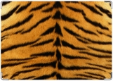 Обложка на паспорт с уголками, Тигр