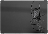 Обложка на автодокументы с уголками, паук