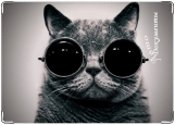 Обложка на автодокументы с уголками, кот  в очках