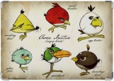 Обложка на автодокументы с уголками, Angry Birds