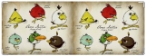 Обложка на зачетную книжку, Angry Birds