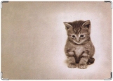 Обложка на паспорт с уголками, Котёнок