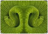 Обложка на паспорт с уголками, Змея