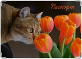 Обложка на паспорт с уголками, кот и тюльпаны