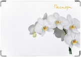 Обложка на паспорт с уголками, Орхидеи 3