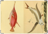 Обложка на автодокументы с уголками, Рыб