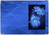 Обложка на паспорт с уголками, цветы голубые