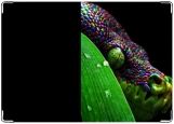 Обложка на автодокументы с уголками, разноцветный змей