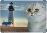 Обложка на паспорт с уголками, кот и маяк