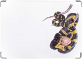 Обложка на автодокументы с уголками, змея