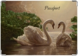 Обложка на паспорт с уголками, Лебединая песня