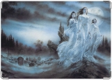 Обложка на паспорт с уголками, Luis Royo - вампиры