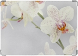 Обложка на автодокументы с уголками, орхидея