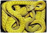 Обложка на паспорт с уголками, жёлтая змея